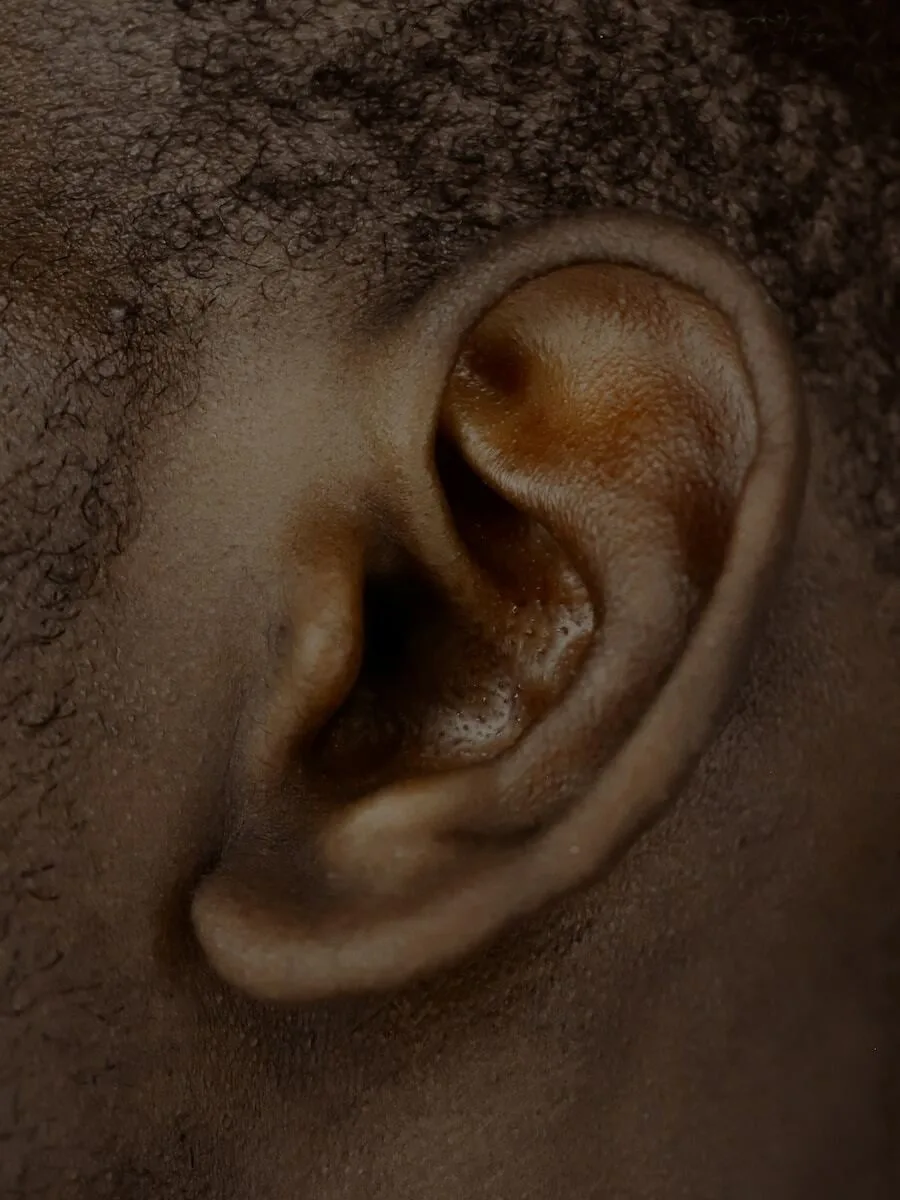 hearing health from within: the role of nutrition in ear wellness 1
